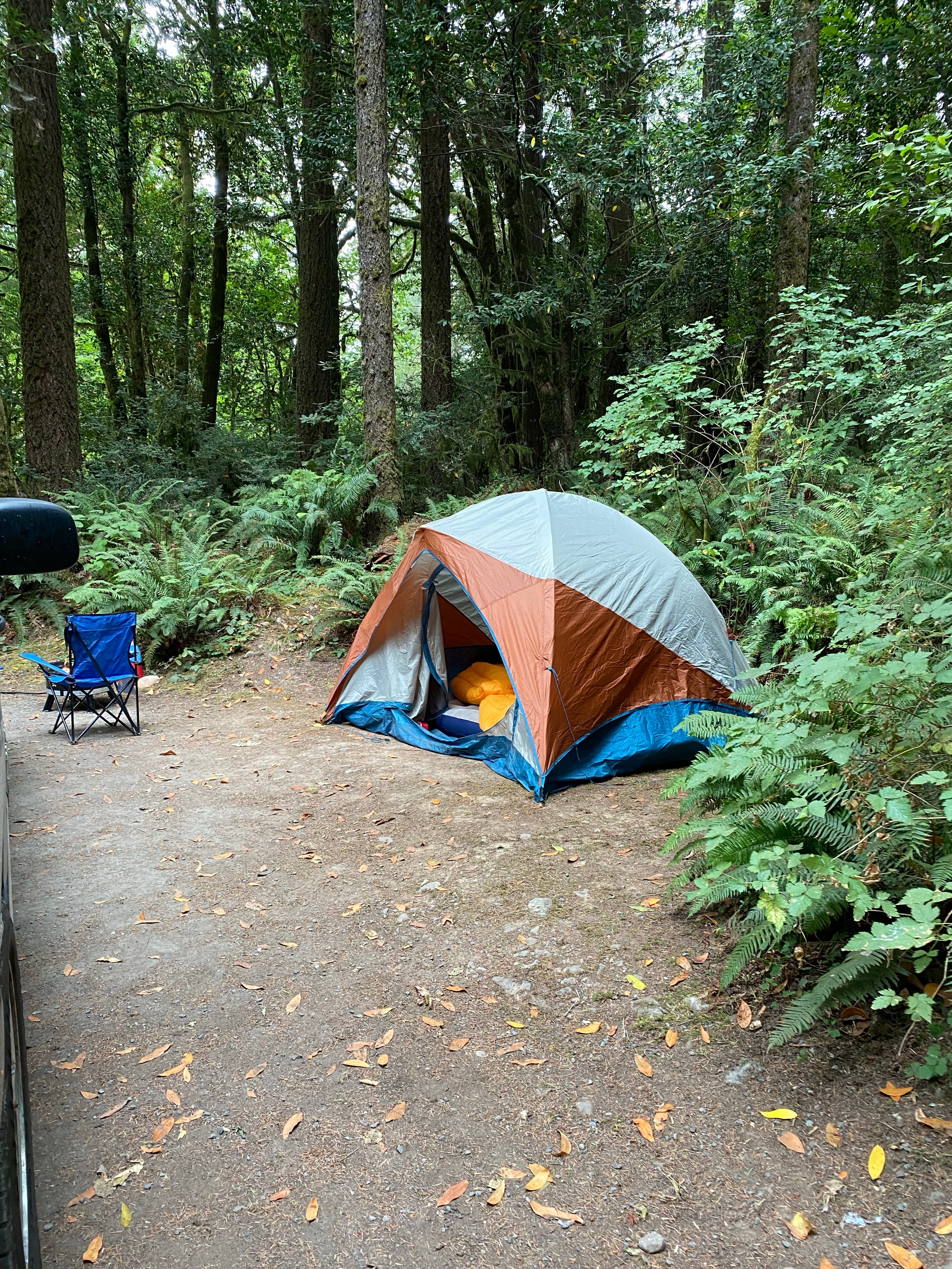 Camper submitted image from Ludlum Campground - 3