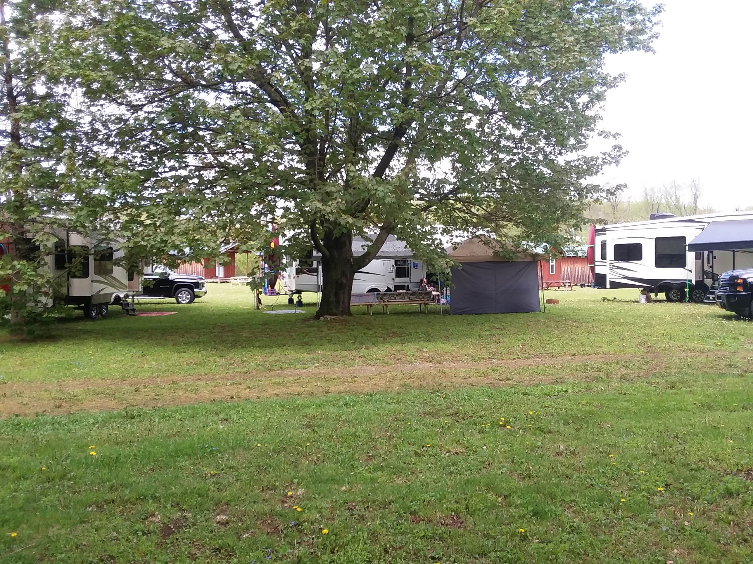 Camper submitted image from Lizzie's Campground Corporation - 1