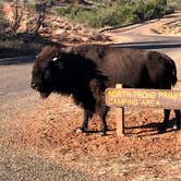 Review photo of Honey Flat Camping Area — Caprock Canyons State Park by Lawrence P., September 11, 2021