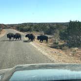 Review photo of Honey Flat Camping Area — Caprock Canyons State Park by Lawrence P., September 11, 2021