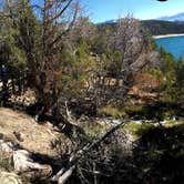 Review photo of Pa-Co-Chu-Puk Campground — Ridgway State Park by Lawrence P., September 11, 2021