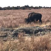 Review photo of Great Plains State Park Campground by Lawrence P., September 11, 2021