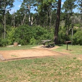 Review photo of Bastrop State Park Campground by Troy W., June 29, 2018