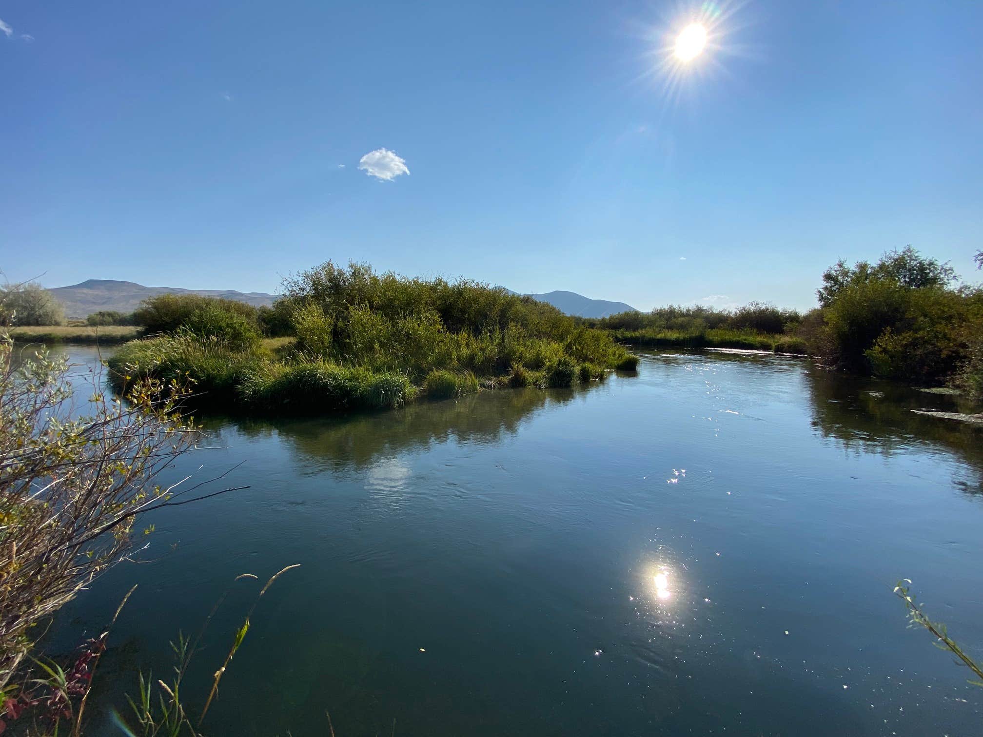Rodderz's photo of a dispersed camping area at Silver Creek West Access Area near Corral, ID