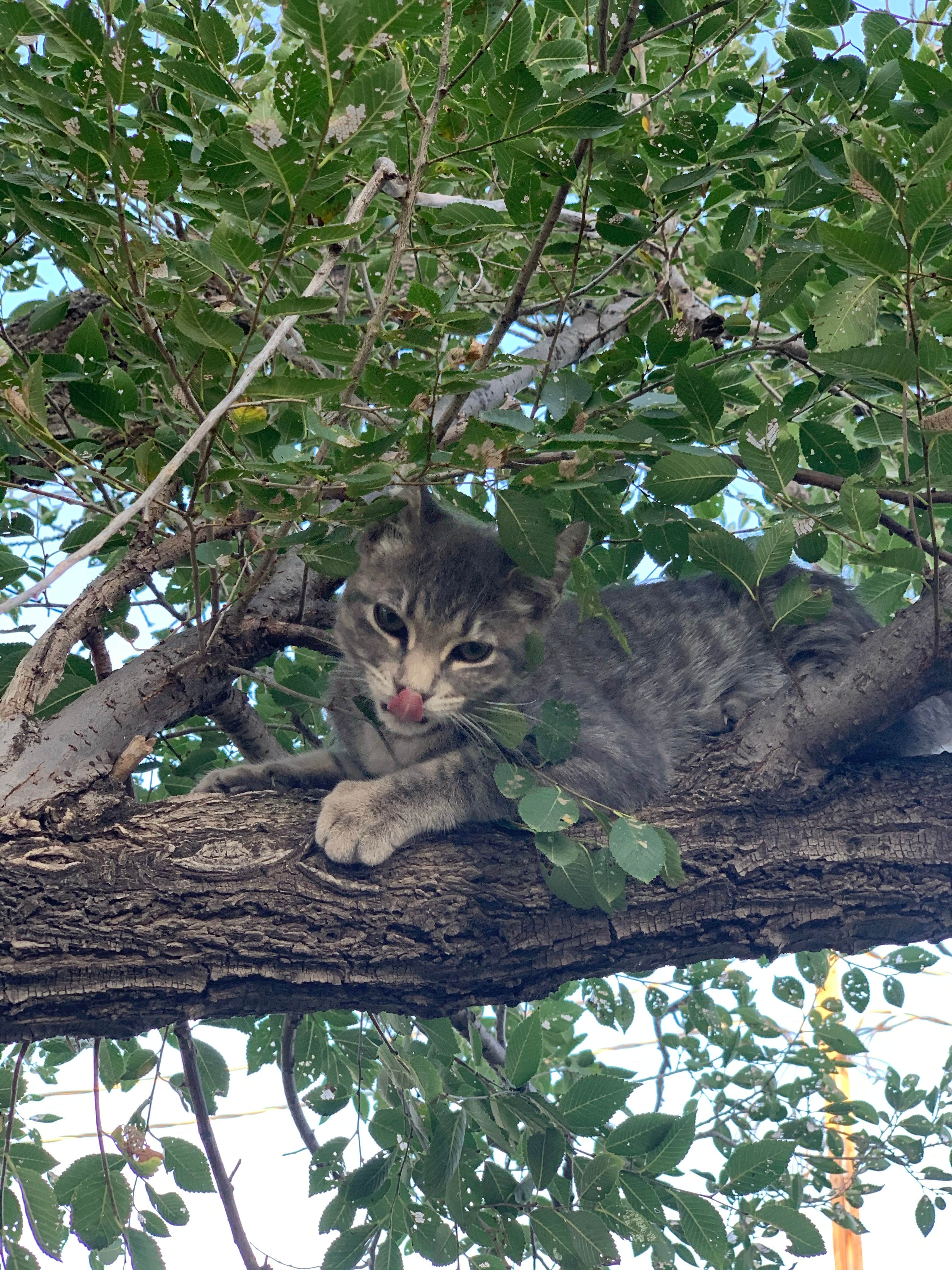 Camper-submitted photo at Overnite RV Park near Canyon, TX