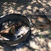 Review photo of Bastrop State Park Campground by Troy W., June 29, 2018