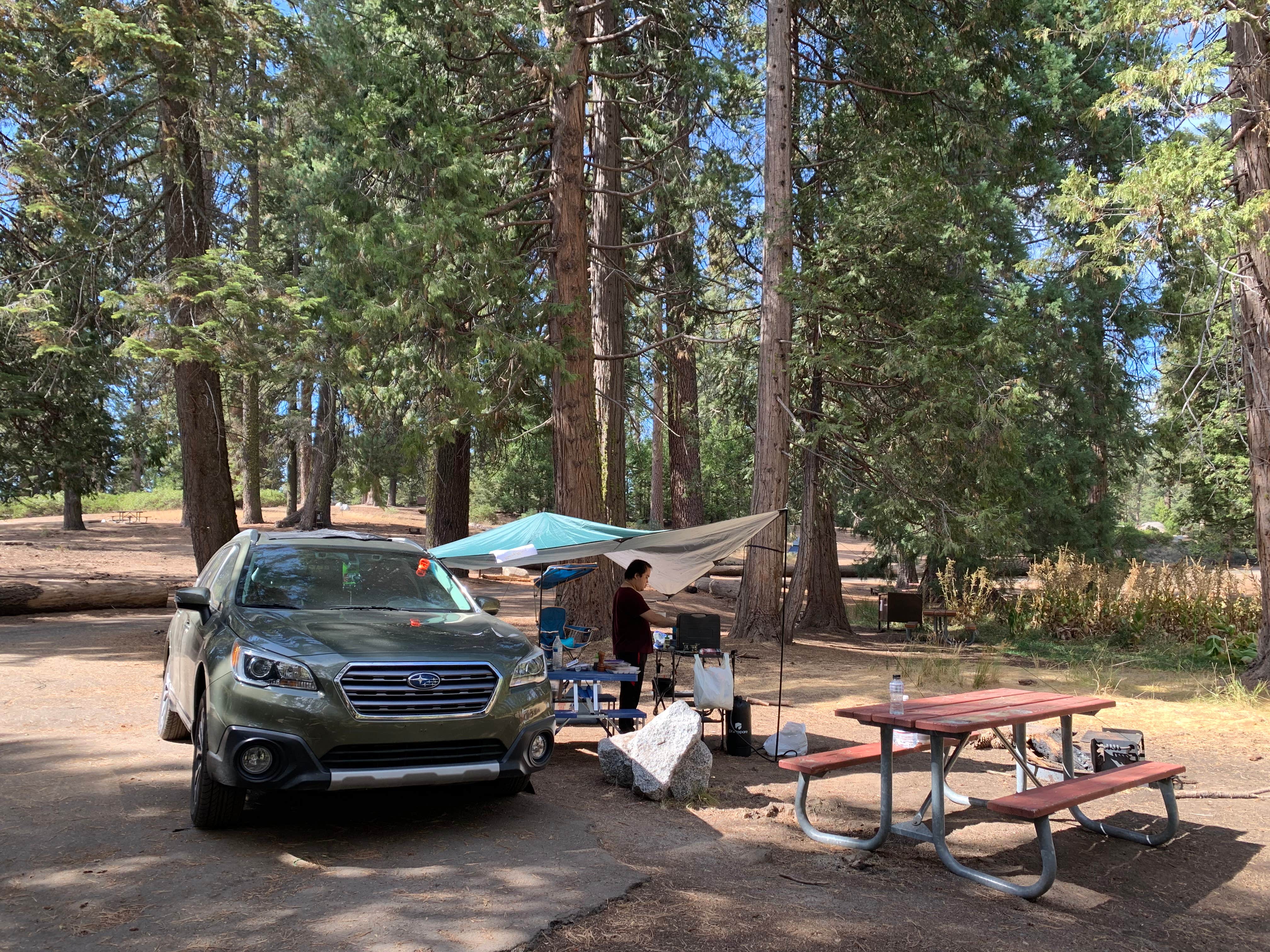 Deis M.'s photo at Azalea Campground — Kings Canyon National Park near Dunlap, CA