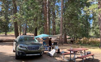 Deis M.'s photo at Azalea Campground — Kings Canyon National Park near Badger, CA