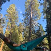 Review photo of Azalea Campground — Kings Canyon National Park by Deis M., September 13, 2021