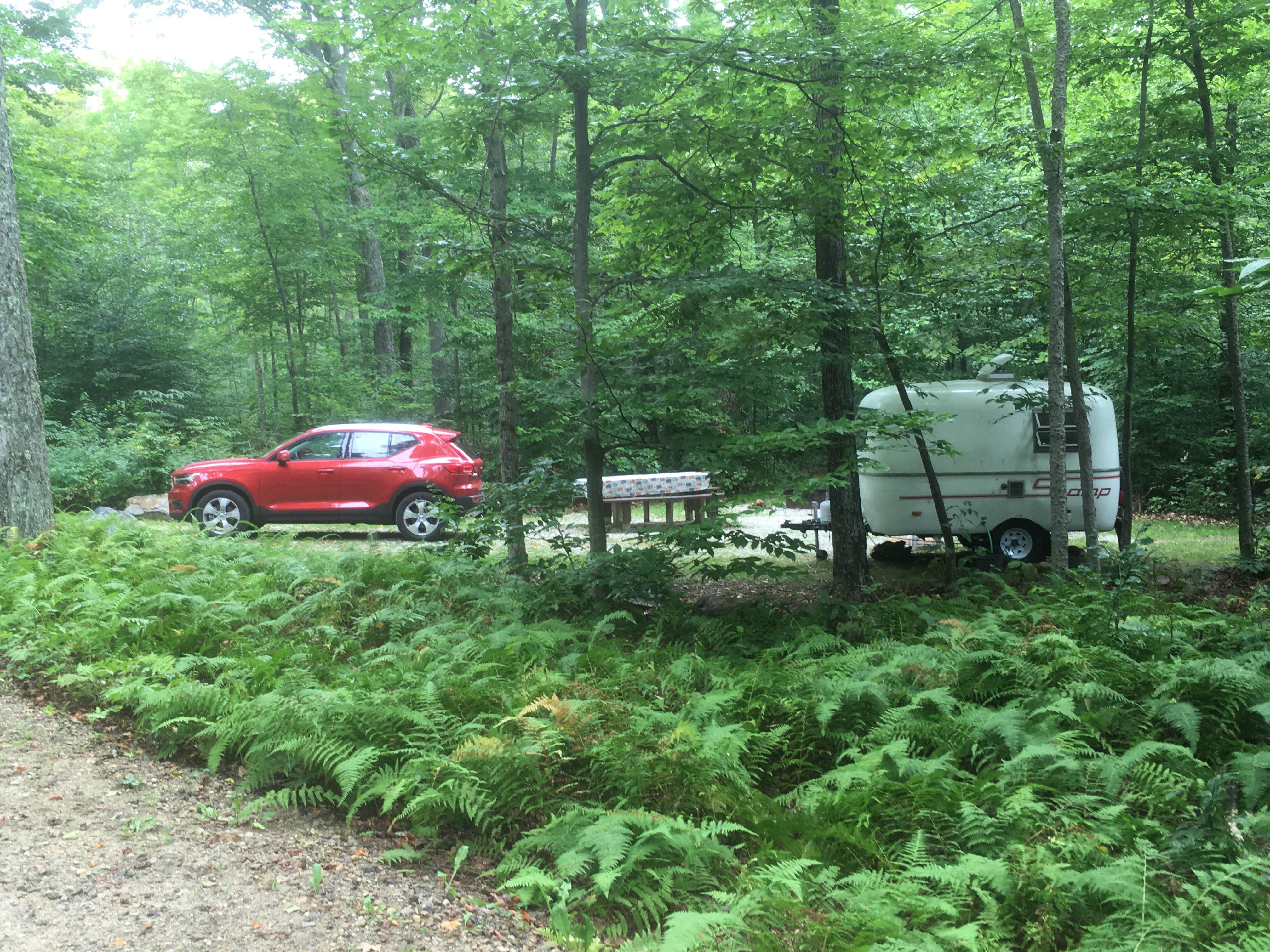 Alan's photo of rv camping at Moosalamoo Campground near Hancock, VT