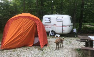 Alan's photo of camping with pets at Moosalamoo Campground near Florence, VT