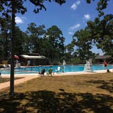 Review photo of Bastrop State Park Campground by Troy W., June 29, 2018