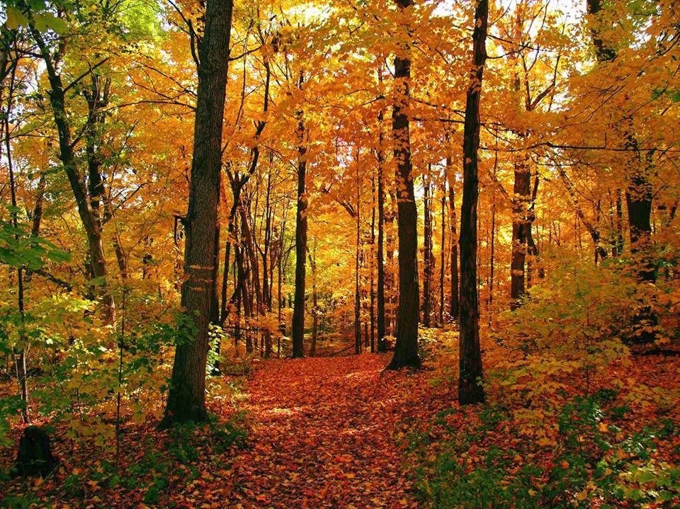 Camper-submitted photo at Blue Wind Nature Camp near Roscoe, NY