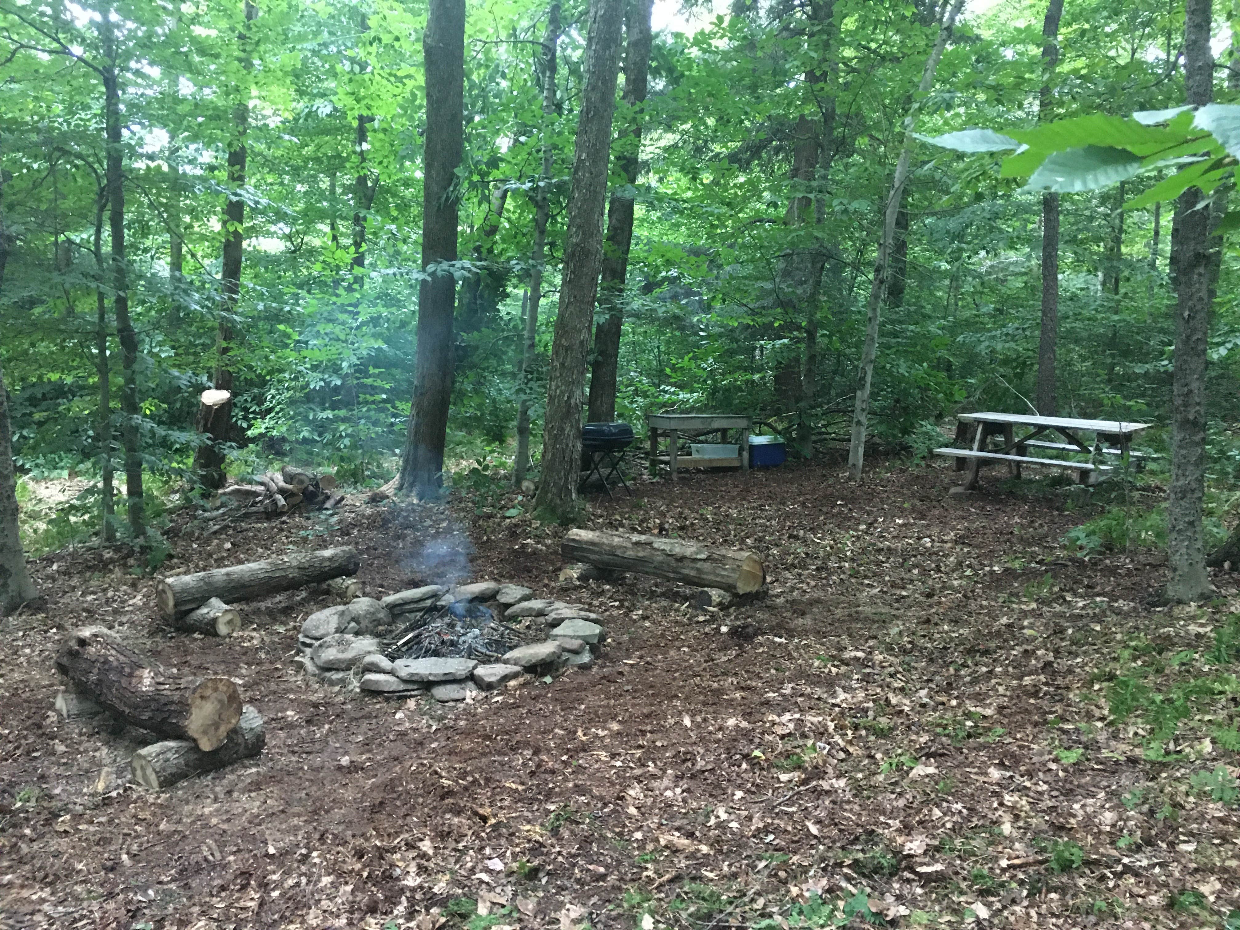 Camping near Boheme Retreats: Blue Wind Nature Camp, Livingston Manor, New York