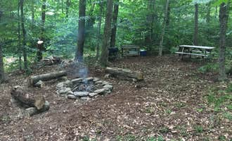 Camping near Bear Spring Mountain - DEC: Blue Wind Nature Camp, Livingston Manor, New York