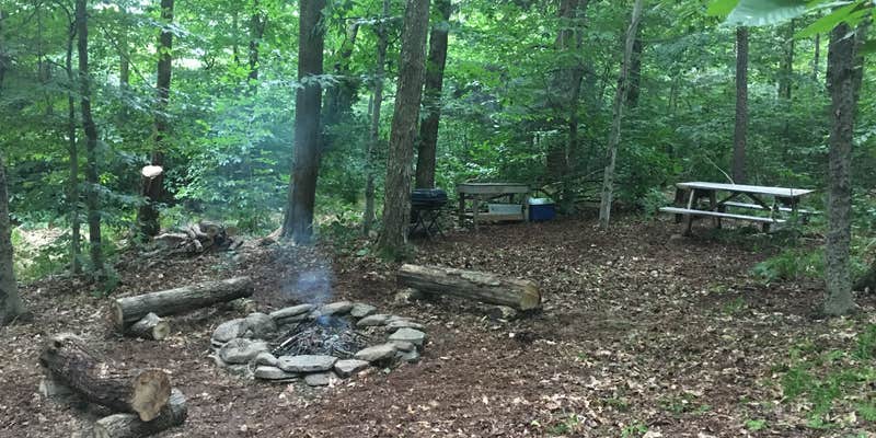 Camper submitted image from Blue Wind Nature Camp