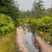 Review photo of Dolly Sods Backcountry by Ben , September 13, 2021