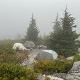 Review photo of Dolly Sods Backcountry by Ben , September 13, 2021