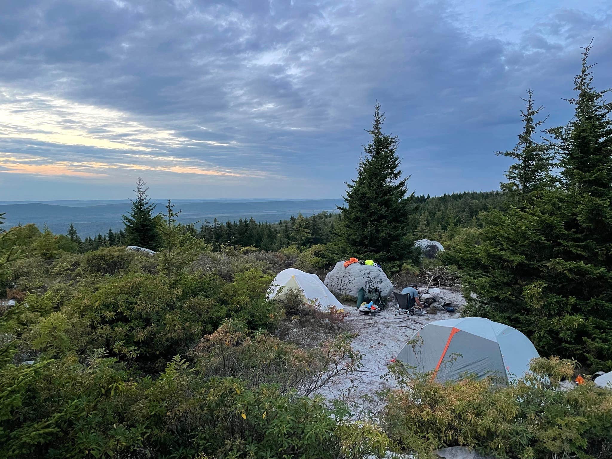 Ben's photo of a dispersed camping area at Dolly Sods Backcountry near Parsons, WV