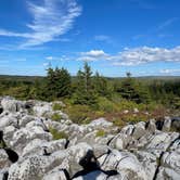 Review photo of Dolly Sods Backcountry by Ben , September 13, 2021