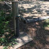 Review photo of Bastrop State Park Campground by Troy W., June 29, 2018