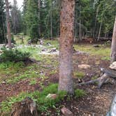 Review photo of Deep Creek Campground by Richard R., August 22, 2021
