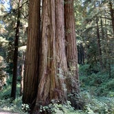 Review photo of Crescent City/Redwoods KOA by Jennifer B., September 13, 2021