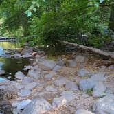 Review photo of Manzanita Campground by B O., September 13, 2021