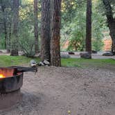 Review photo of Manzanita Campground by B O., September 13, 2021