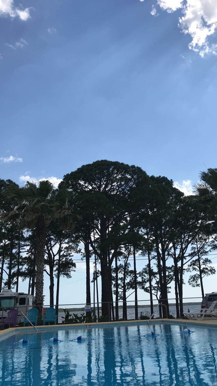 Camper submitted image from Panacea RV Park - 5