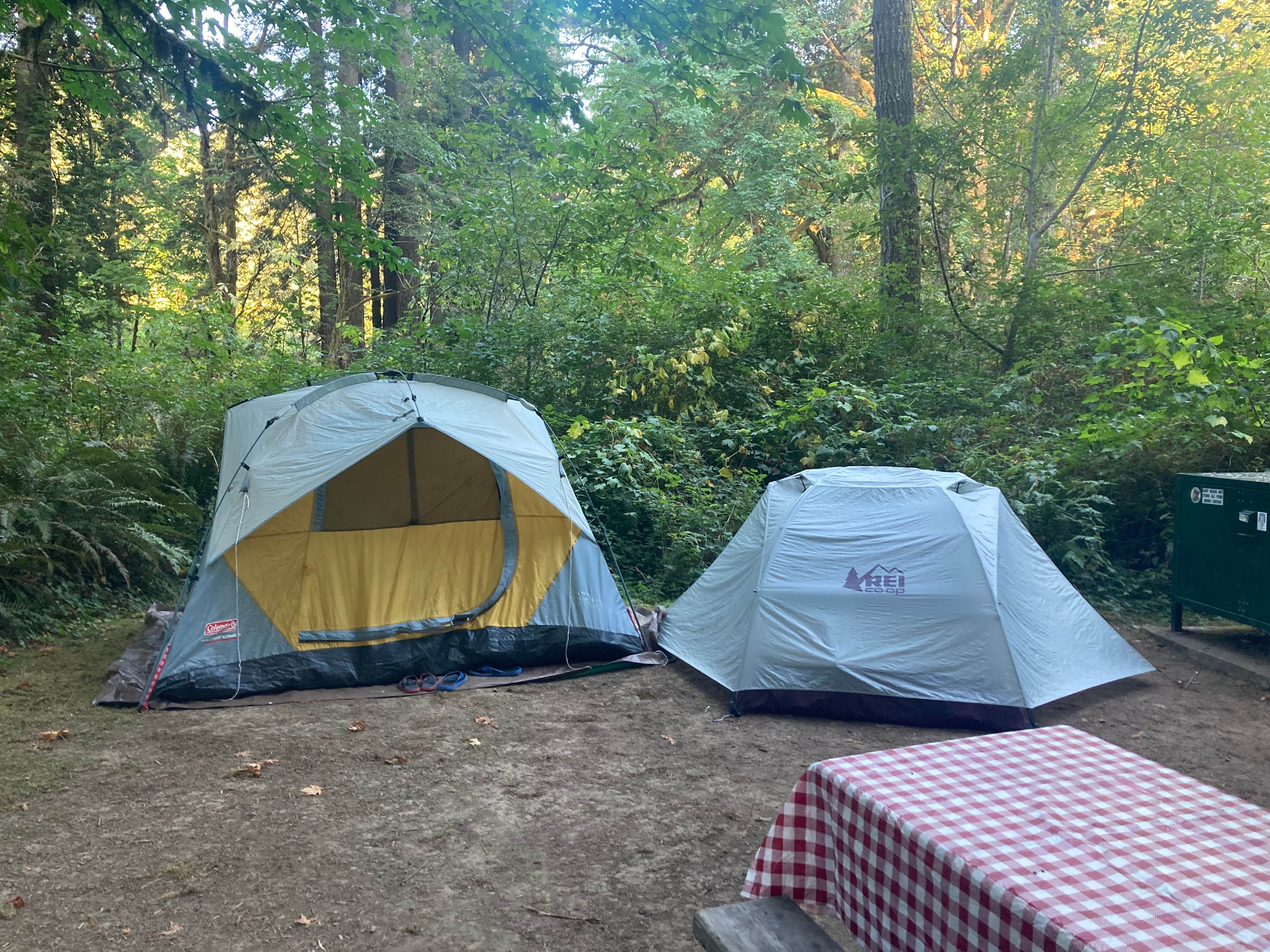 Glen G.'s photo at Mill Creek Campground — Del Norte Coast Redwoods State Park near Redwood National Park