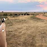Review photo of Dispersed Site - Grassland Boondocking by Roberta P., September 13, 2021