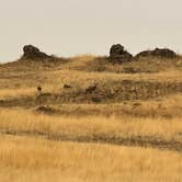 Review photo of Rock Creek BLM Campground by Wilber S., September 13, 2021