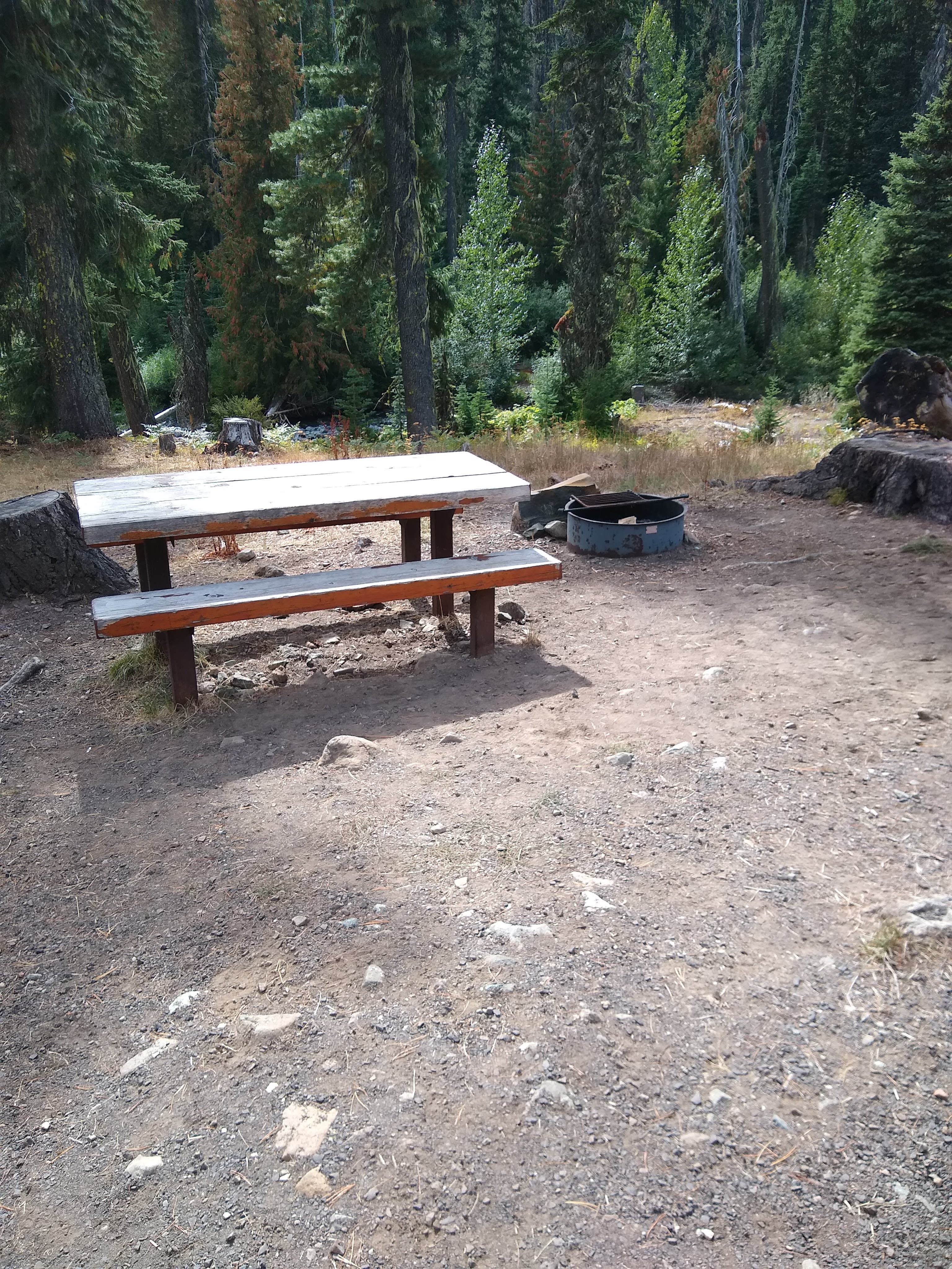 Camper-submitted photo at De Roux Campground near Okanogan-Wenatchee National Forest