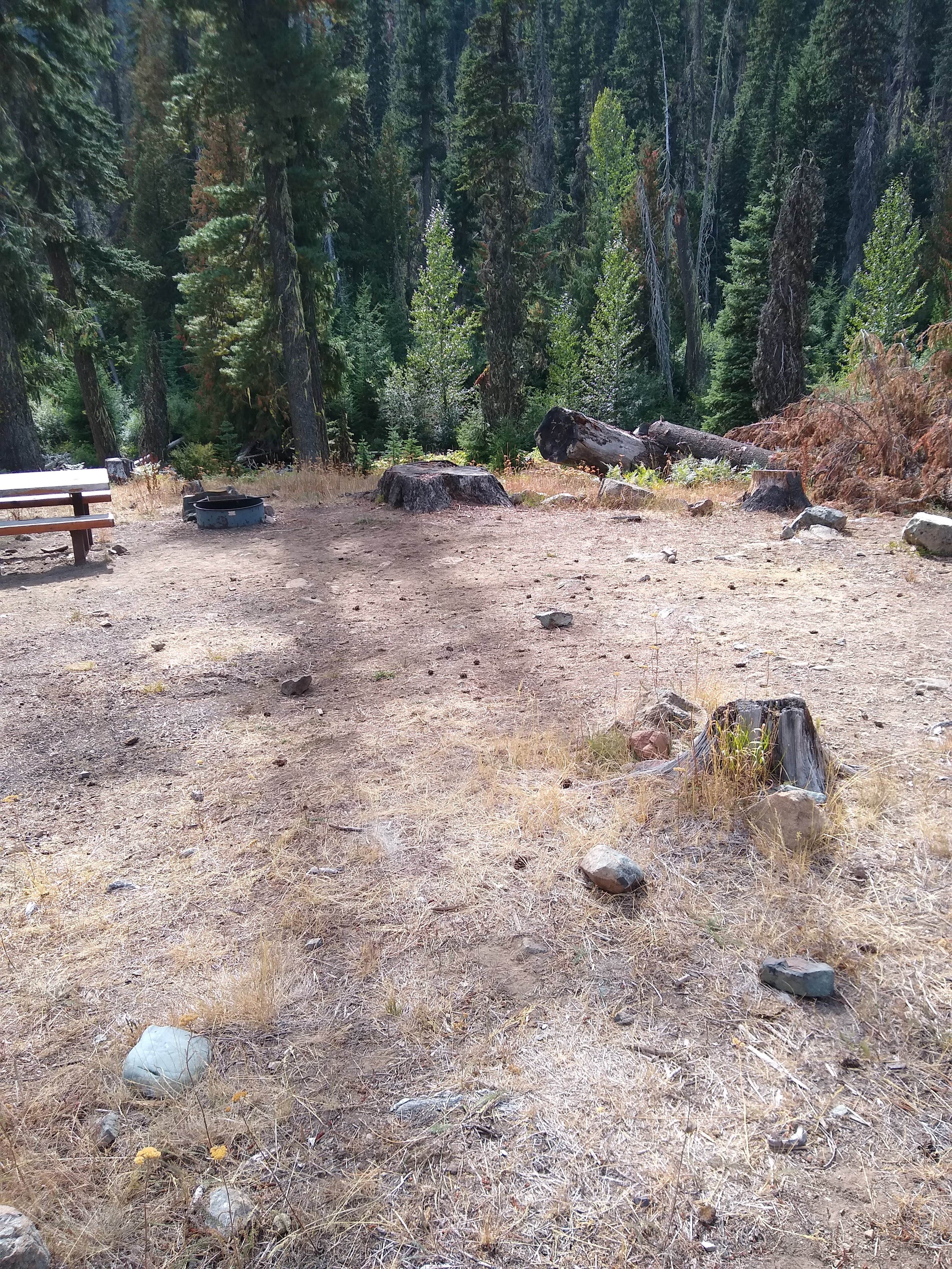 Camper-submitted photo at De Roux Campground near Okanogan-Wenatchee National Forest