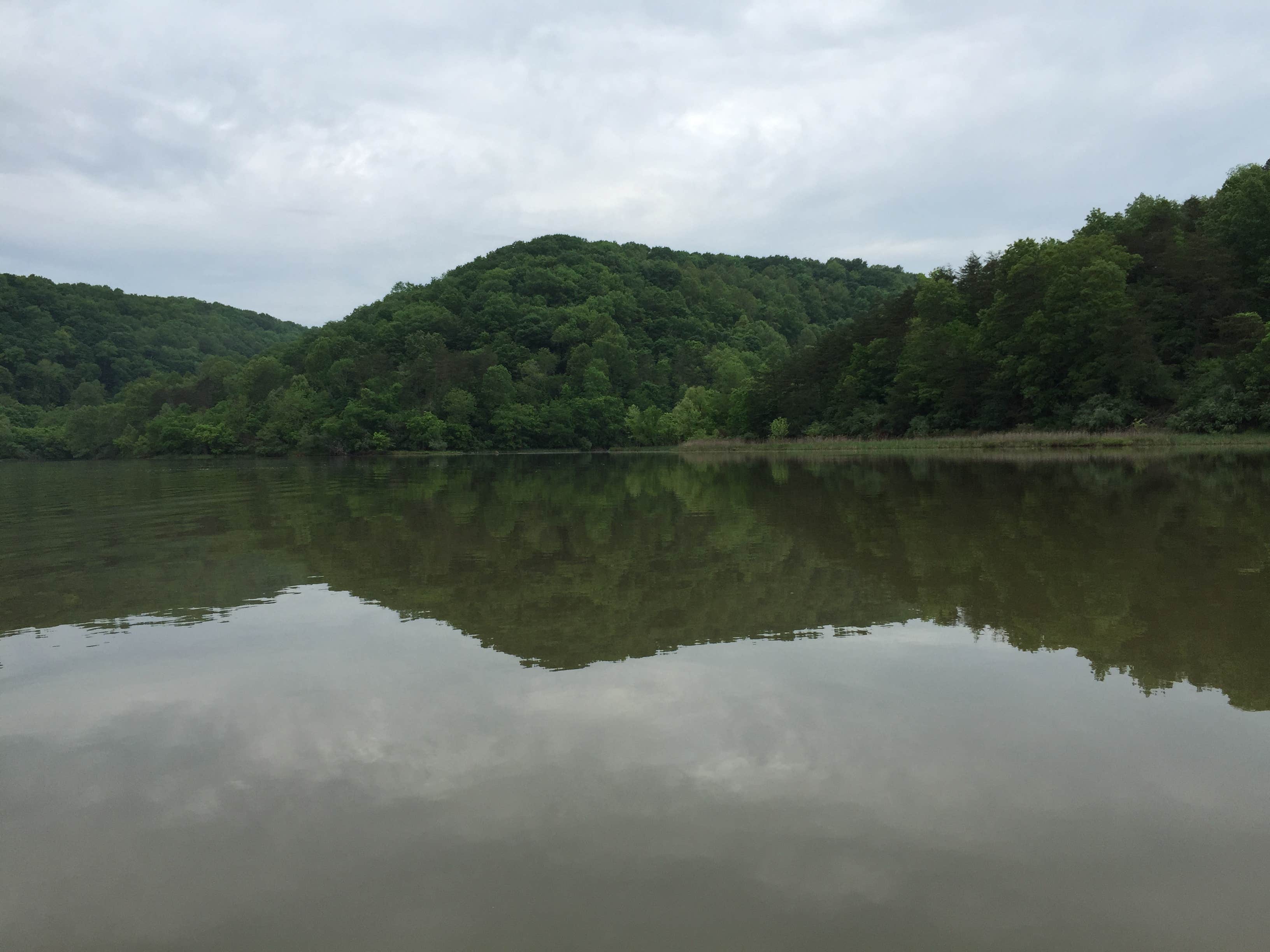 Camper submitted image from Four Coves Campground — Beech Fork State Park - 3