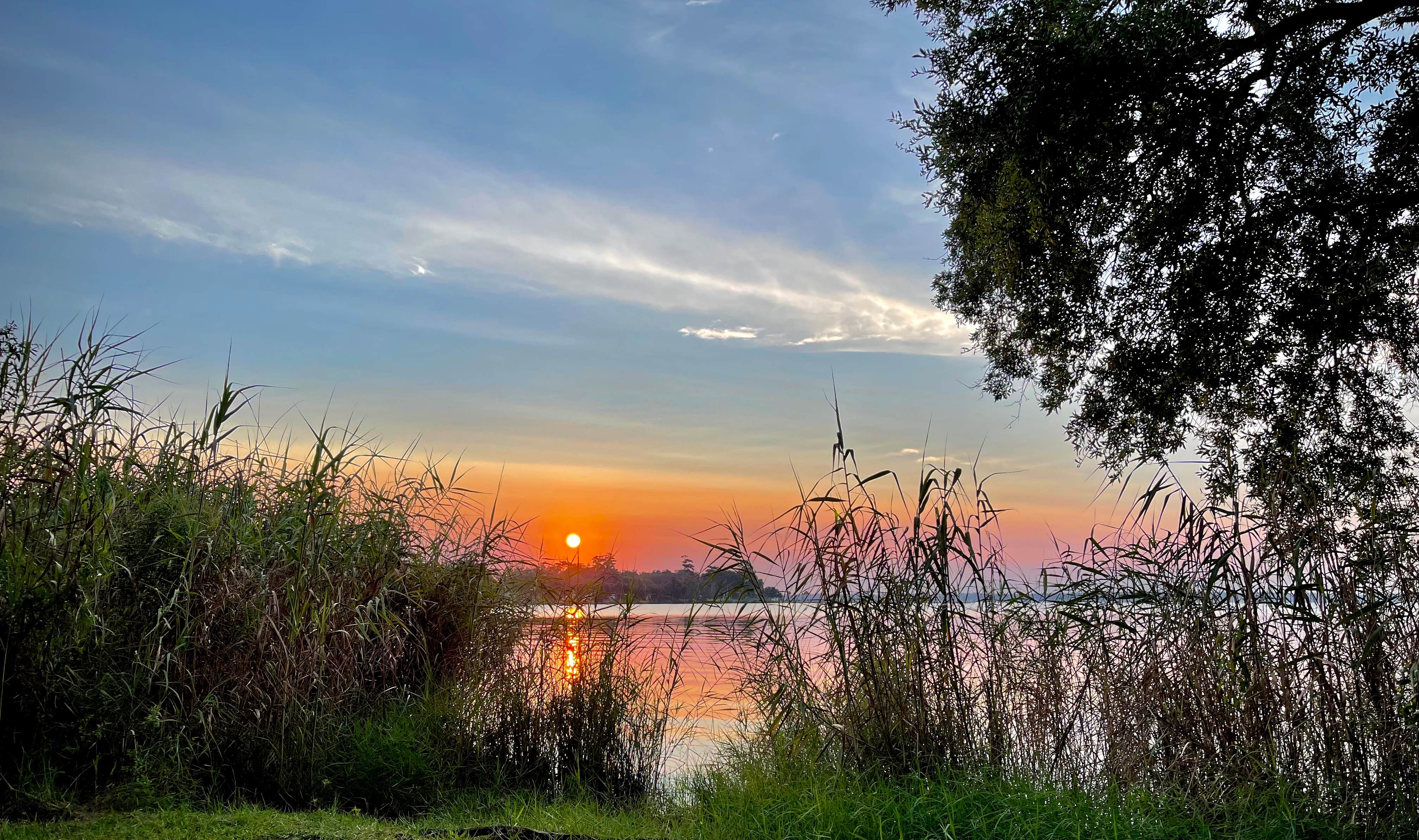 Camper-submitted photo at Jacksonville RV Park (Naval Air Station) near Fleming Island, FL