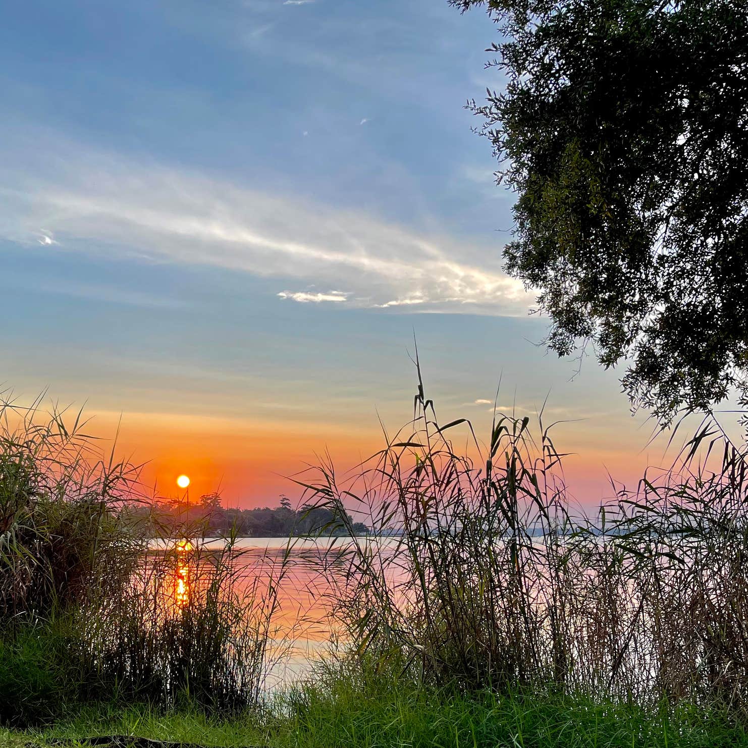 Jacksonville RV Park (Naval Air Station) Camping The Dyrt