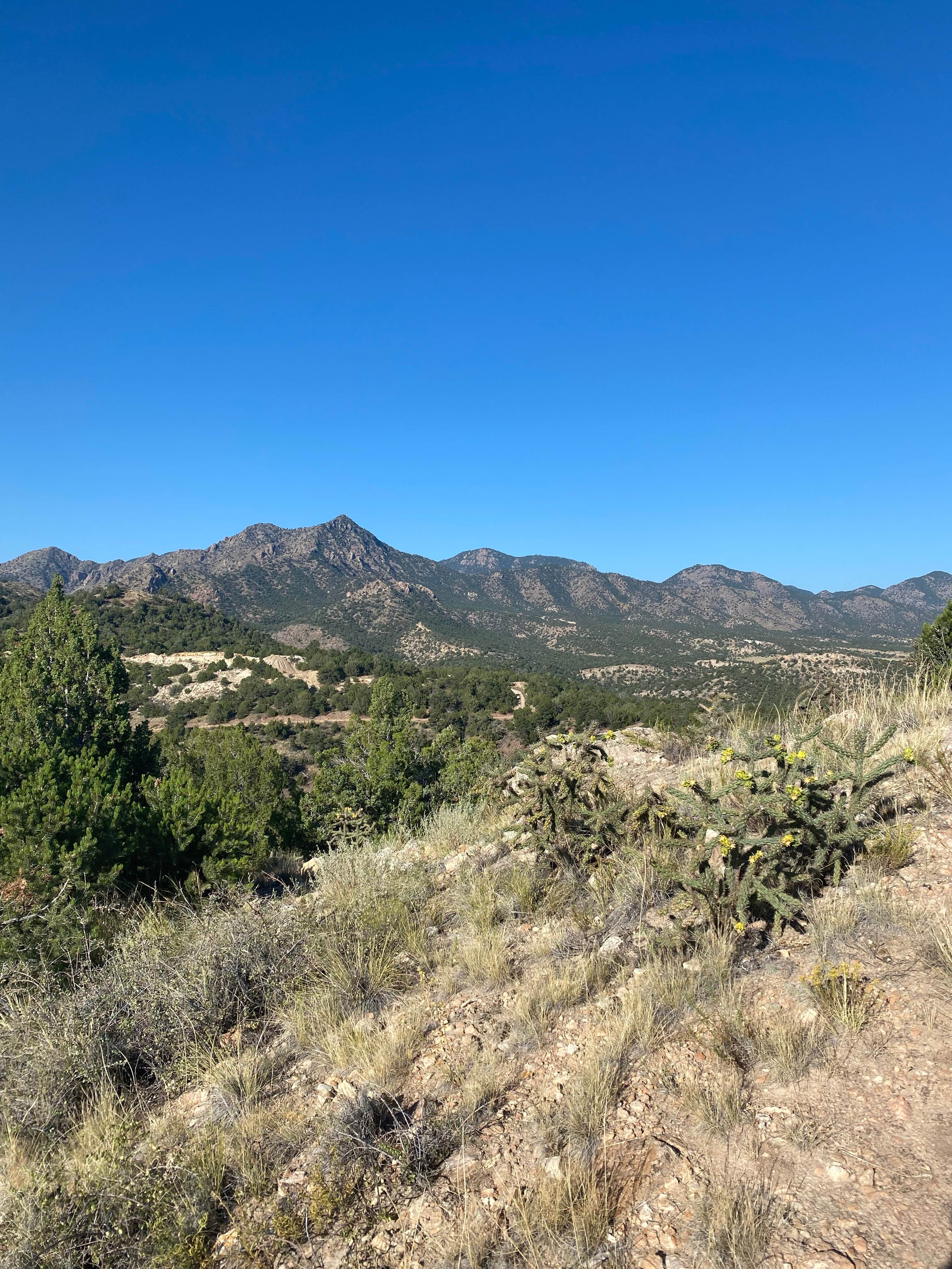 Camping near Royal Gorge Cabins: Grape Creek - Temple Canyon Park, Cañon City, Colorado