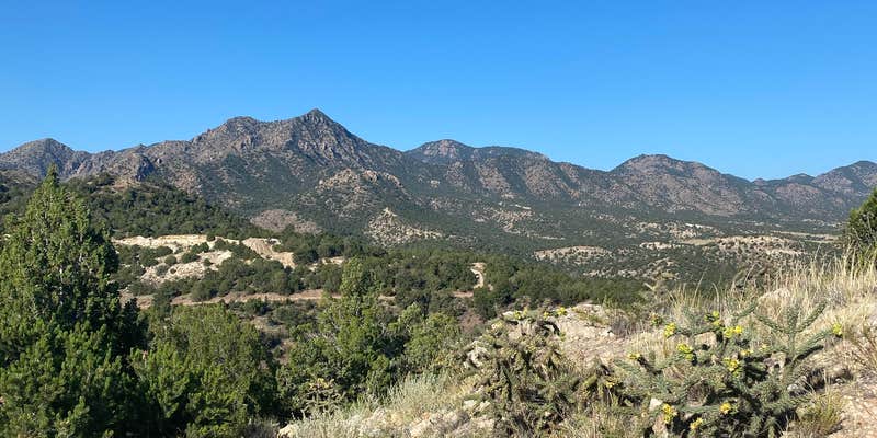 Camper submitted image from Grape Creek - Temple Canyon Park