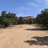Review photo of BLM Rd #1700 Dispersed Camping by Greg L., September 13, 2021