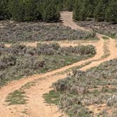 Review photo of BLM Rd #1700 Dispersed Camping by Greg L., September 13, 2021