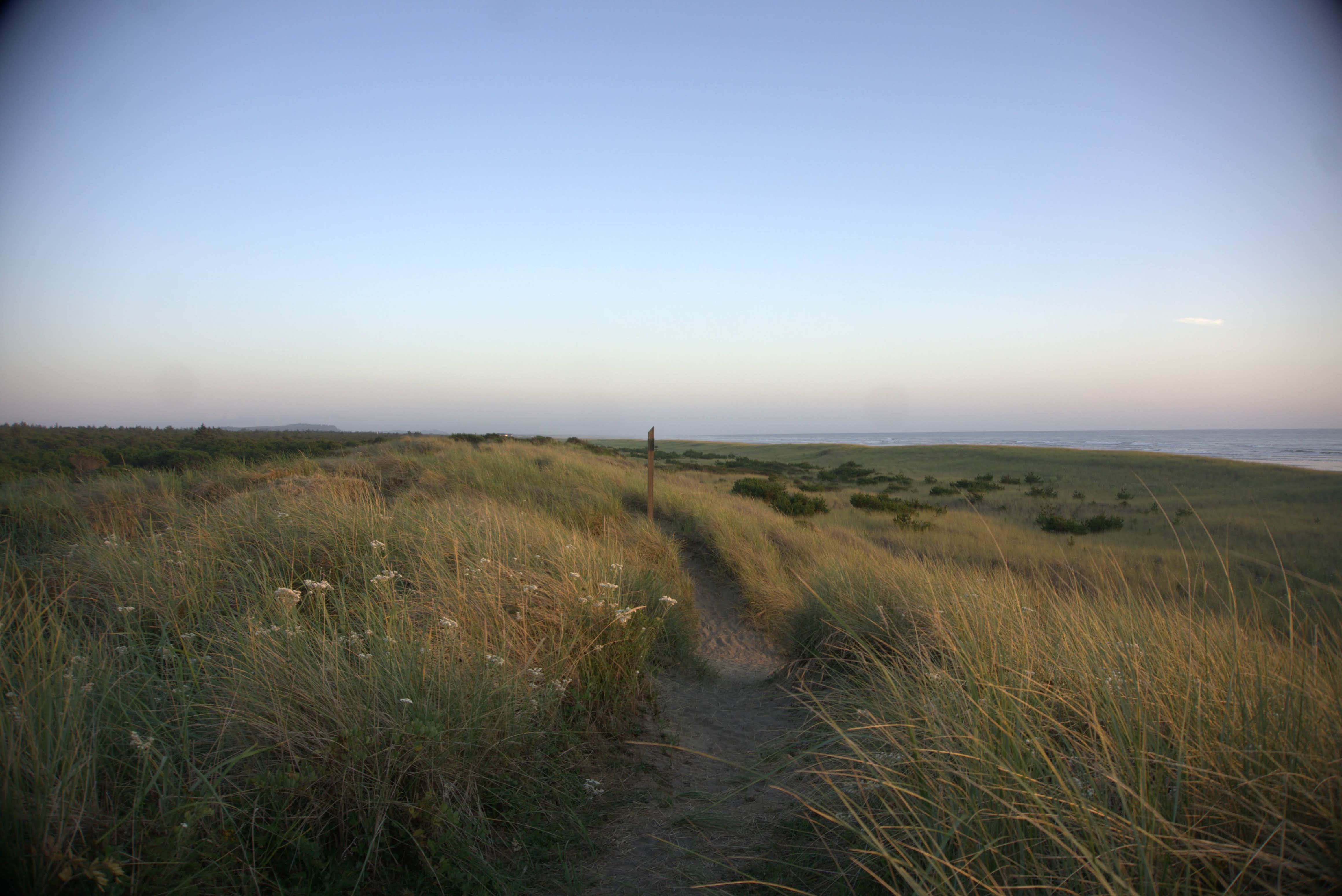 Twin Harbors State Park The Dyrt