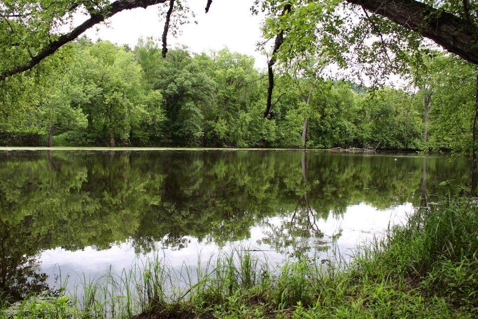 Camper submitted image from Merrick State Park Campground - 3