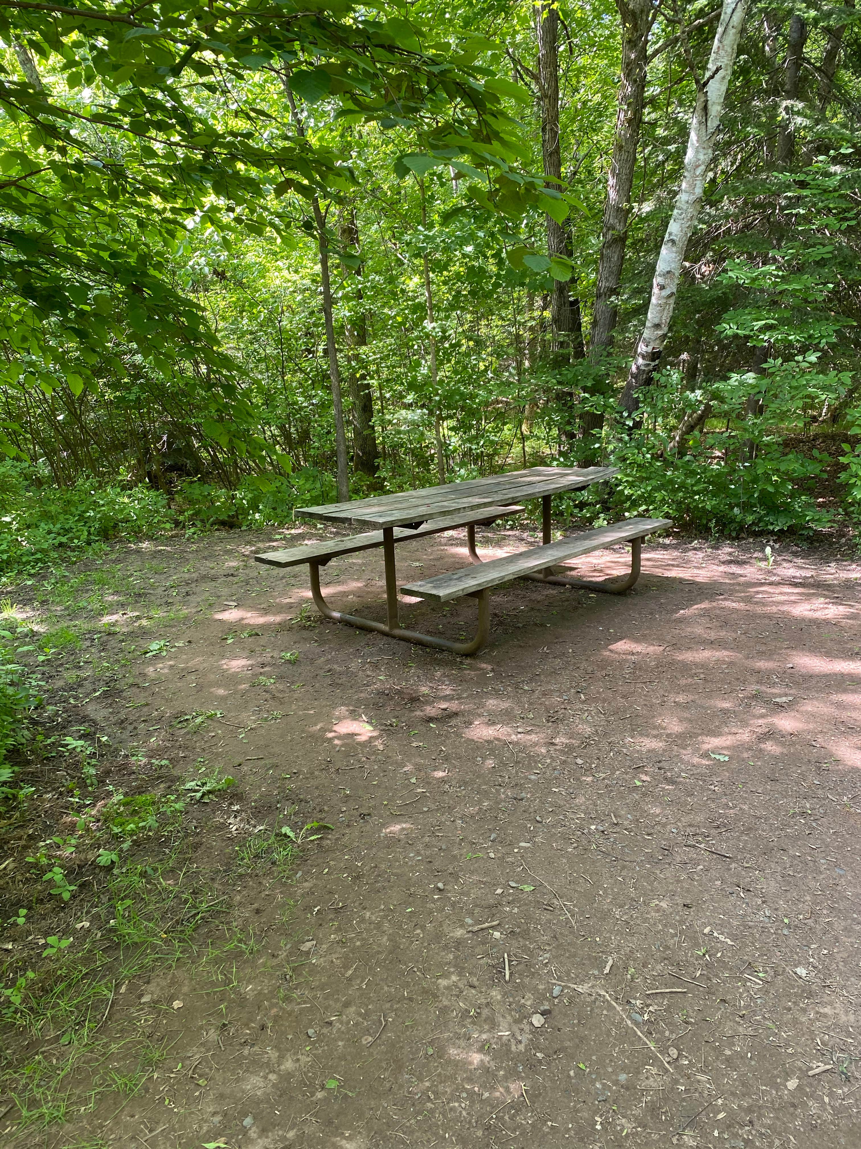 Camper-submitted photo at Moose Lake near Deer River, MN