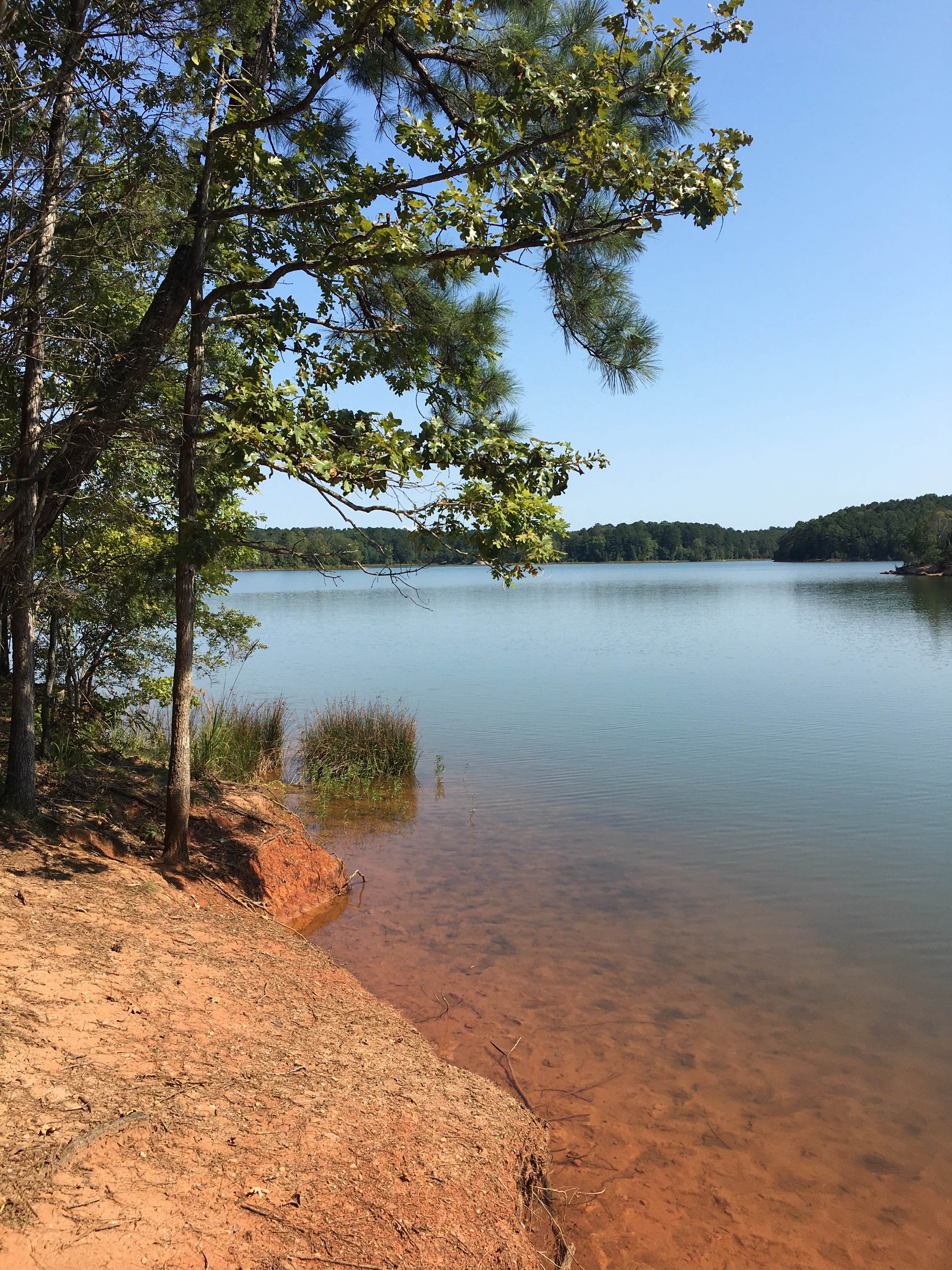 Best standard camping near Lake Secession, South Carolina The Dyrt