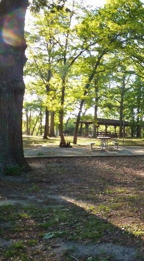 Camper submitted image from Mckinney Campground - 5