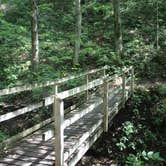 Review photo of Beaver Creek Valley State Park Campground by Shelby N., June 29, 2018