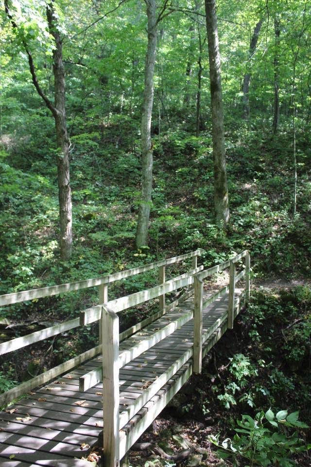Camper submitted image from Beaver Creek Valley State Park Campground - 2