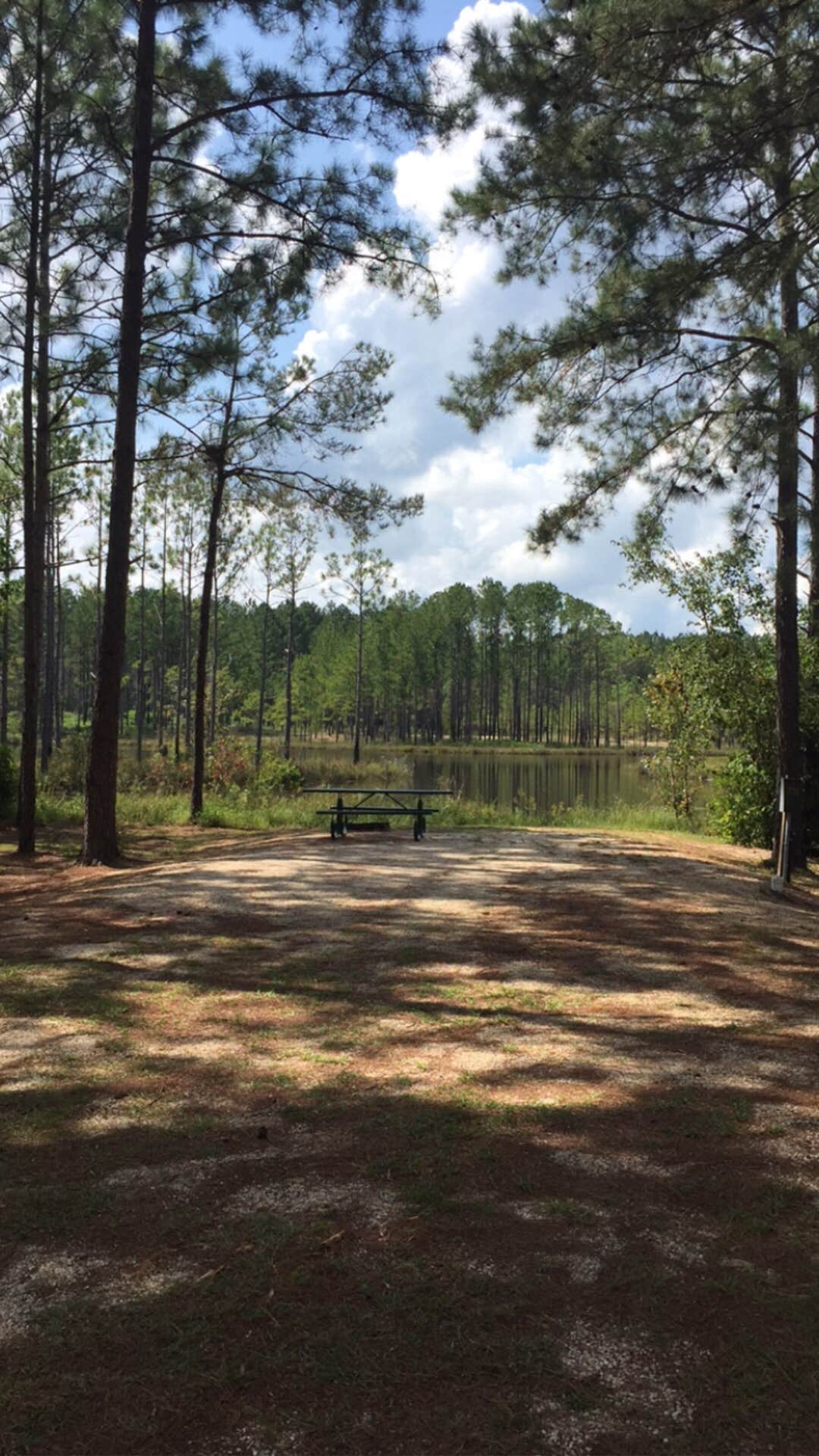 Camper submitted image from Magnolia Branch Wildlife Reserve - 2